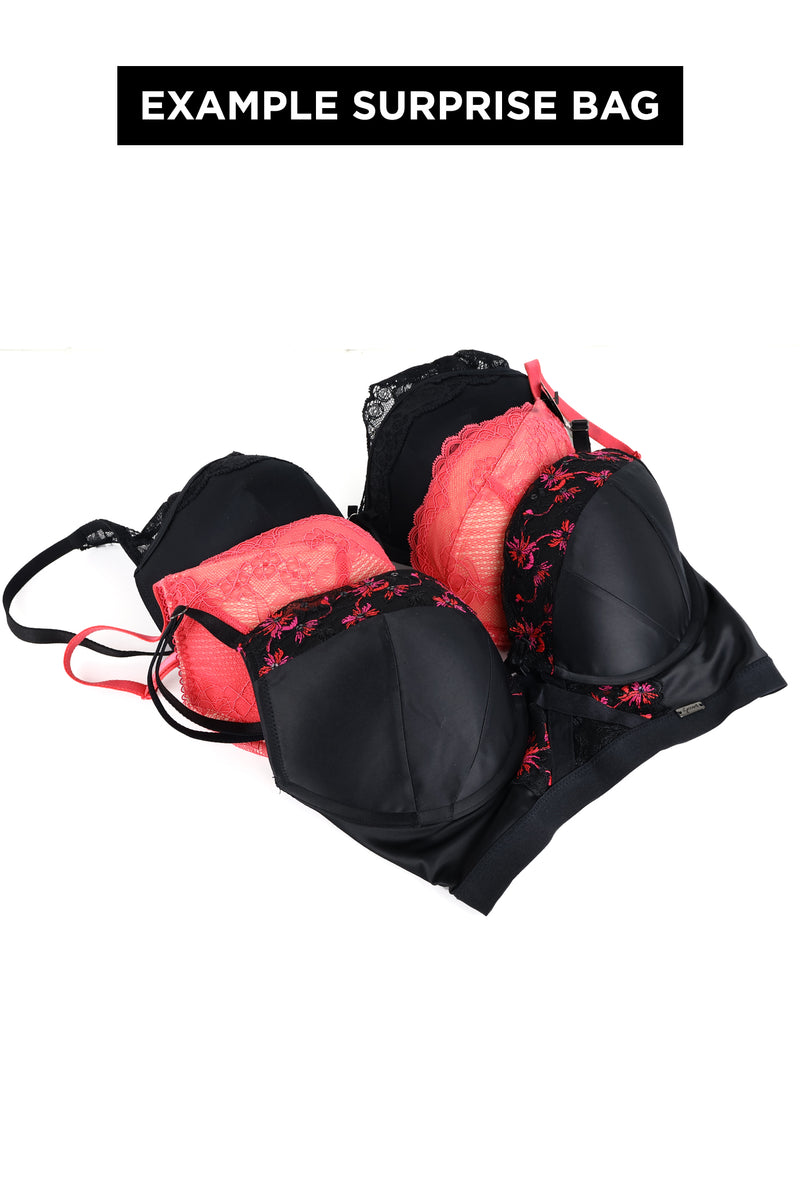 Bra Surprise Bag - Brands 30 - 38 for Cups D to H