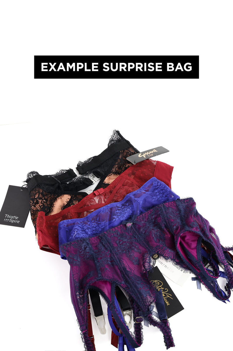 Garter Belt Surprise Bag - XS to XL