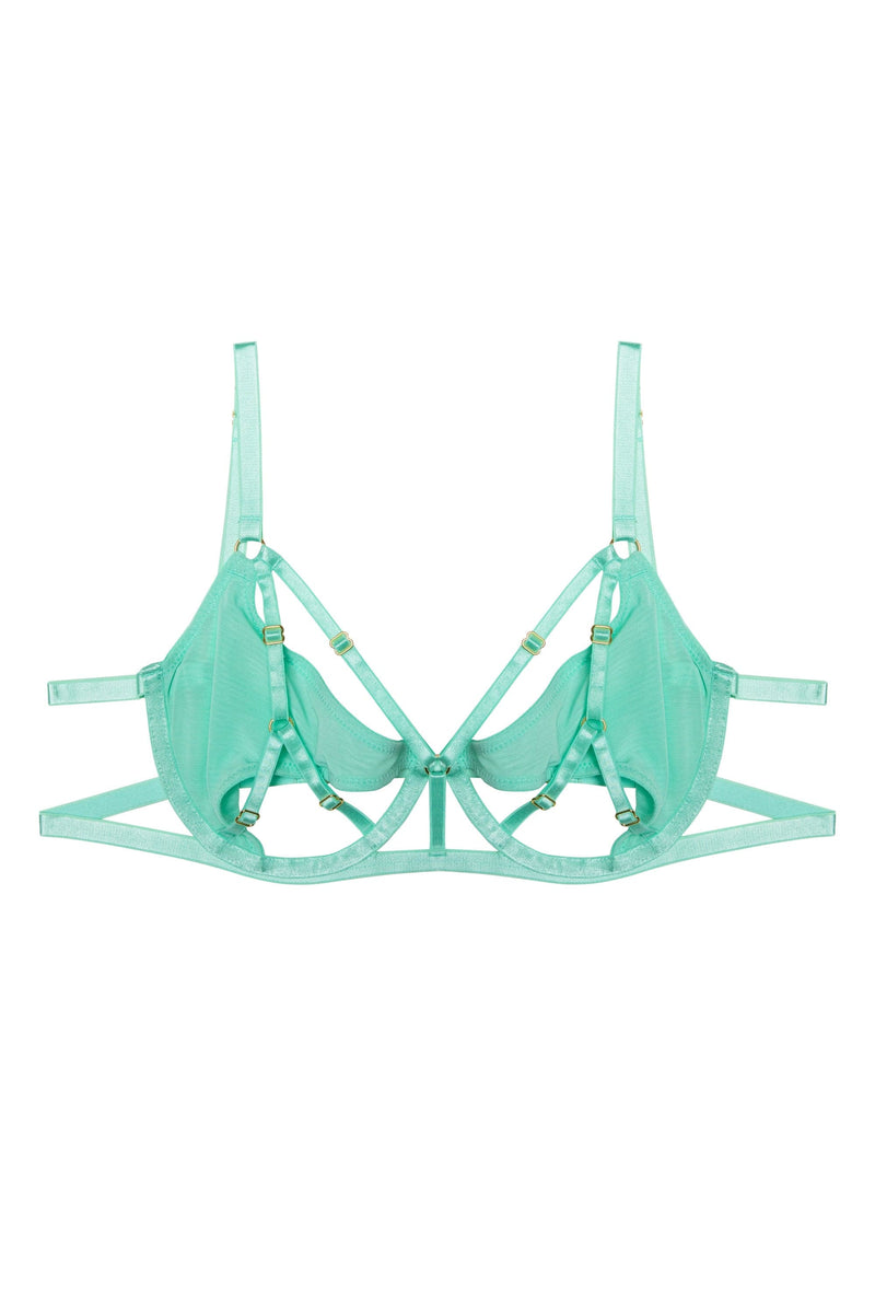 Wolf & Whistle Penny Cut Out Mesh Bra
